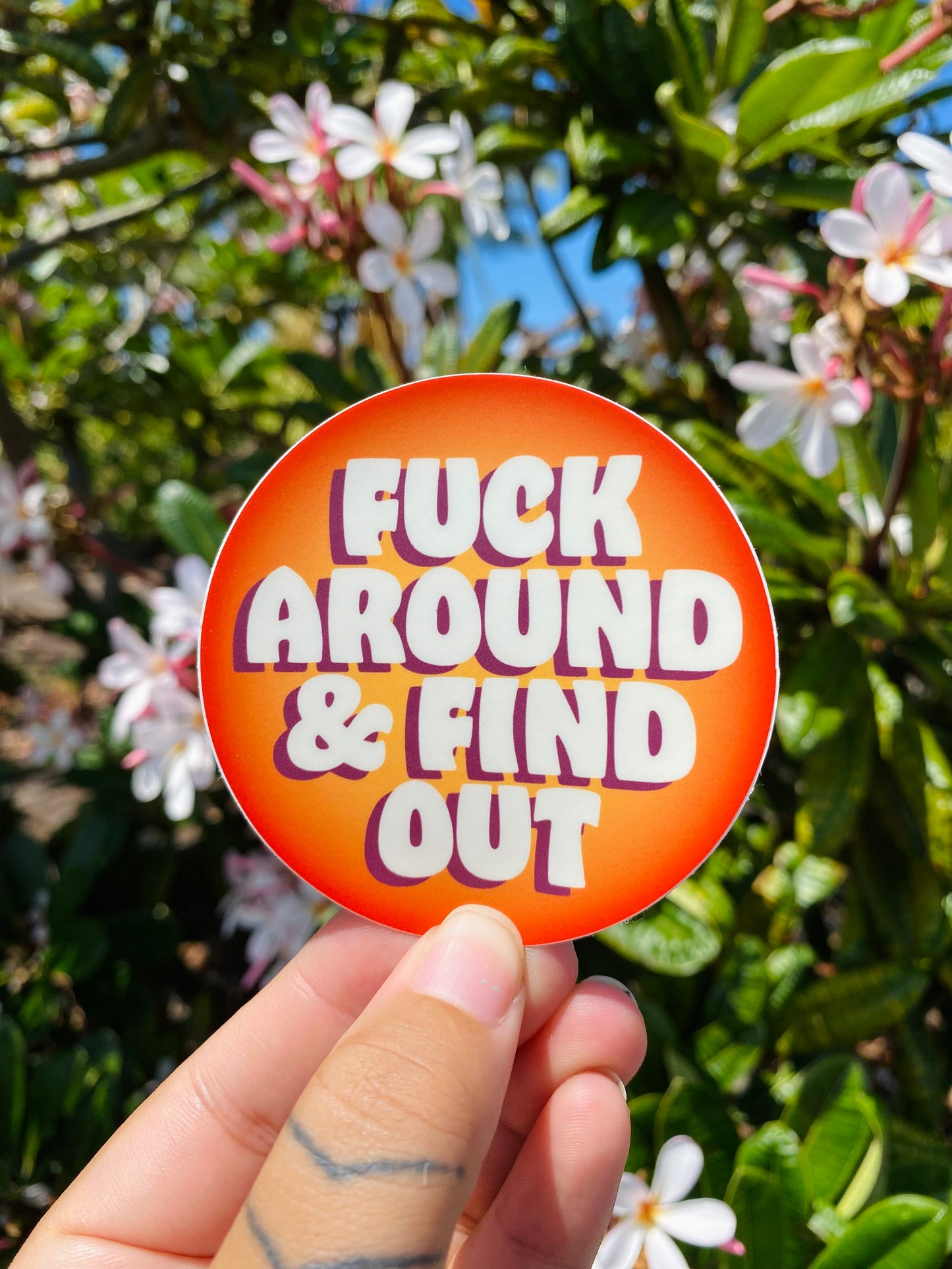 Fuck Around & Find Out Sticker